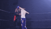 bollywood smile GIF by SHWA Wrestling