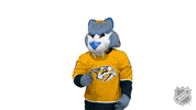 Ice Hockey Kiss GIF by NHL