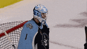 GIF by Milwaukee Admirals