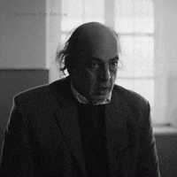 Mood What GIF by La Guarimba Film Festival