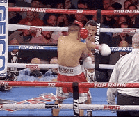 toprank fight fighting champion espn GIF