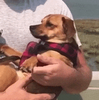 sally GIF by Glassdoor