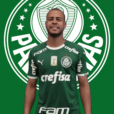 Palmeiras giphyupload happy soccer celebrate GIF