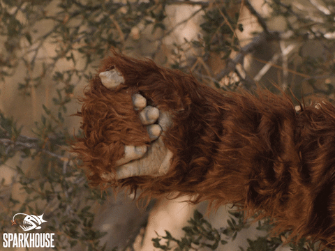 All Good Thumbs Up GIF by TheSparkhouse