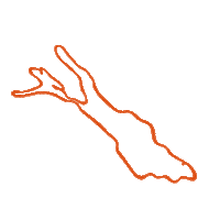 travel lion Sticker by Lindau Tourismus