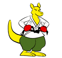 Summer Olympics Fight Sticker by AUSOlympicTeam