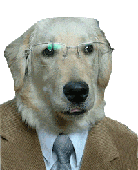 dog Sticker by namslam