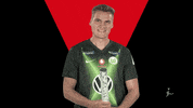 Vfl Wolfsburg Fifa GIF by Bundesliga