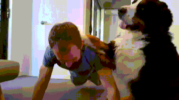 Training Coach GIF