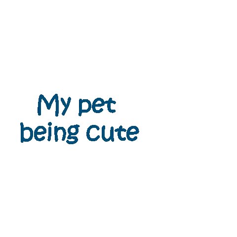 dreffierozi giphyupload pet greece greek Sticker