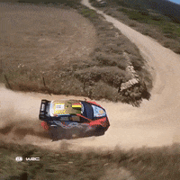 Drone Drift GIF by FIA World Rally Championship