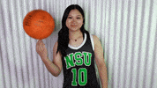Basketball GIF by RiverHawk Sports