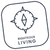 Core Values Sticker by Fox Pest Control