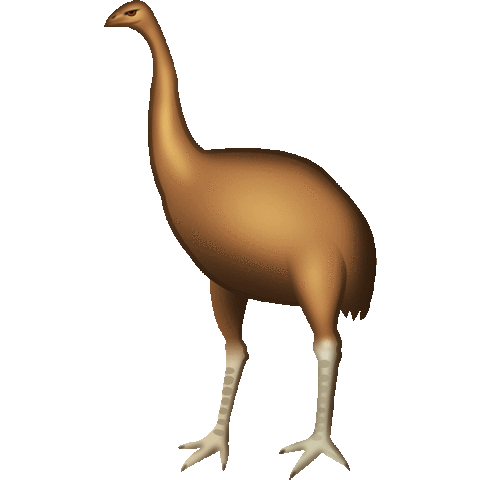 kiwi nz Sticker by Emotiki - The World's First Māori emoji app