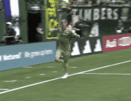 Mls Going Crazy GIF by Major League Soccer