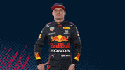 Ver Red Bull GIF by Red Bull Racing Honda