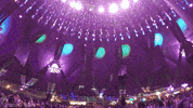insomniacevents edc insomniac insomniac events edclv GIF