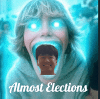 Vote Hong GIF