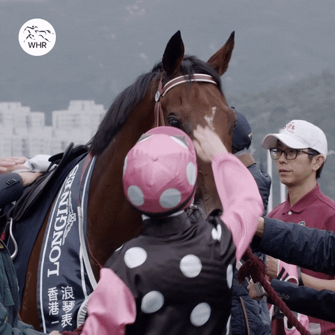 Beauty Generation GIF by World Horse Racing