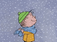 charlie brown snowing GIF by Peanuts