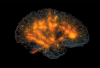 brain glass GIF