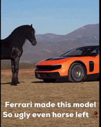 Ferrari Luce GIF