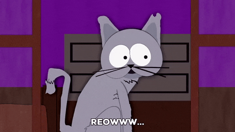 cat mr. kitty GIF by South Park 