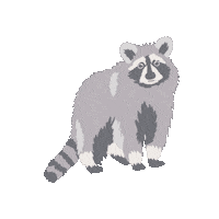 Raccoon Sticker by Kyte Baby