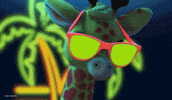 Dance Lol GIF by Barbie