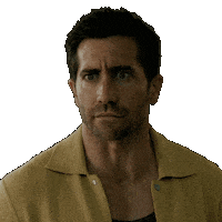 Shocked Heart Attack Sticker by Black Bear Pics