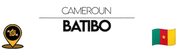 Nn Cameroon Sticker by NoirNomads