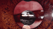 Art Video GIF by jorgemariozuleta