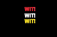 Wit Wentworth Witalumni Wentworthalumni GIF by Wentworth Alumni Office
