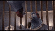 In The Face Disney GIF