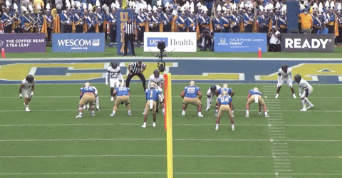 nfalato11 giphyupload GIF