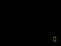 #origins #natgeo GIF by National Geographic Channel