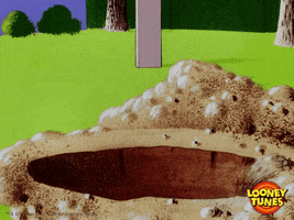 happy yosemite sam GIF by Looney Tunes