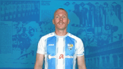 Celebration Muscles GIF by ChemnitzerFC