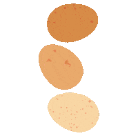 Chicken Egg Sticker by Scribble Kids Books