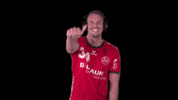 LIQUIMOLY_HBL top handball musik tanzen GIF