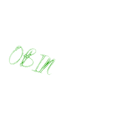 Obin Sticker by obinsimba