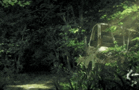 Penguin Highway GIF by All The Anime — Anime Limited