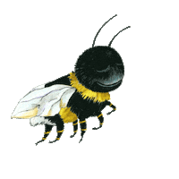 humlandjojj tired sleep sleeping bumblebee Sticker