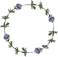 Good Morning Sticker by Launch22