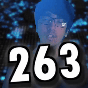 263
