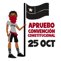 PontDesign apruebo dignidad pont design GIF