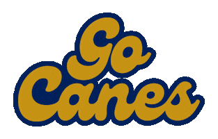 Hurricanes Canes Sticker by Georgia Southwestern State University