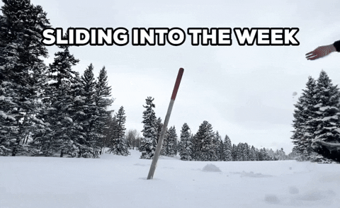 Snow Sliding In GIF by Storyful