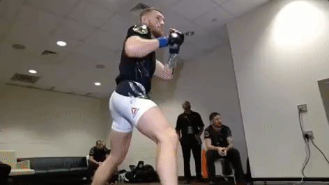ufc 205 GIF