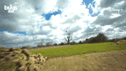National Geographic Bug GIF by Nat Geo Wild